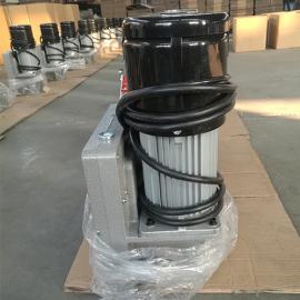 800kg hoist motor 8.6mm for electric suspended platform