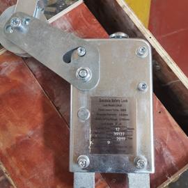 High quality safety locks for electric hanging scaffolding 